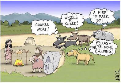 What was the government like during the Neolithic Revolution?